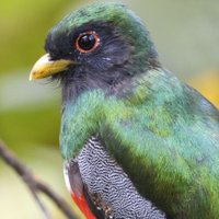 Eduardo (@eatehortuad) 's Twitter Profile Photo Eduardo (@eatehortuad) 's Twitter Profile Photo
