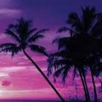 aiden keeffe (@aidenkeeffe1) 's Twitter Profile