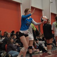 audrey sikorsky (@acsikorsky) 's Twitter Profile