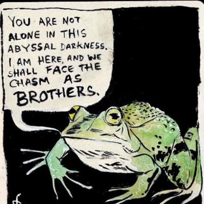 FrogEnjoyer62's profile picture. Deus Vult