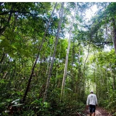 planeta72420566's profile picture. Antropólogo que curte filosofar/ Viajante que ama a natureza 🌿