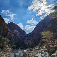 ابراهيم عبدالله الحوسني (@ibrahimbuabdall) Twitter profile photo