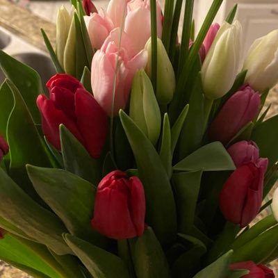 larabrisenoh's profile picture. 