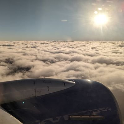 Nina_Bee97's profile picture. Kindness, tacos and dogs are all you need in life 🌮❤️ 🐾