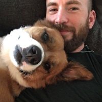 Chris Evans Pics 😜 (@chrisevanspics_) 's Twitter Profile Photo