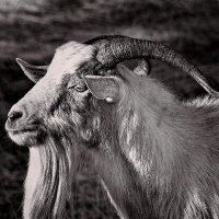 Jac𐤊 (@ibuypow) 's Twitter Profile Photo Jac𐤊 (@ibuypow) 's Twitter Profile Photo
