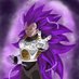 Jun Yap (@junyap14) Twitter profile photo Jun Yap (@junyap14) Twitter profile photo