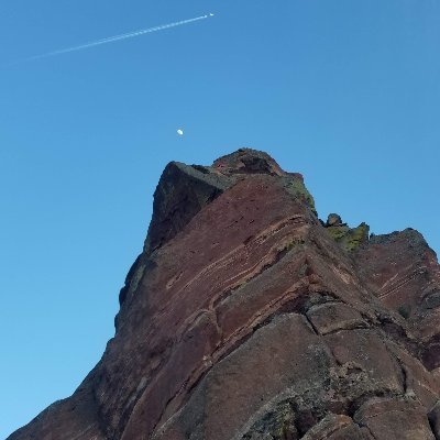 b_conne's profile picture. 