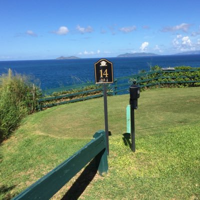 StevenRHughes36's profile picture. sports minded…Huskers, Yankees and Cowboys…love to play golf and caddy for my family