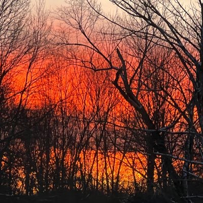 SoooHooked's profile picture. 
