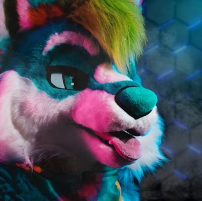 🇳🇱 Dutch Fursuiter / lvl 29 /
📝 I love creating content! /
🔜 RFR