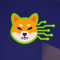 RJ (@rj_shiba_tx) 's Twitter Profile