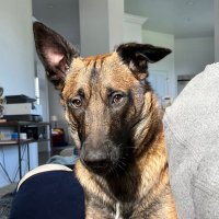 Scott Stephenson (@scott4wa) 's Twitter Profile