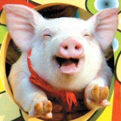 BigStronkHeavy's profile picture. He/him.
A boring person.