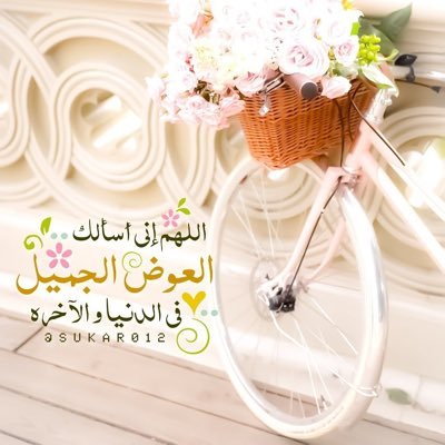 HRT_1986's profile picture. 