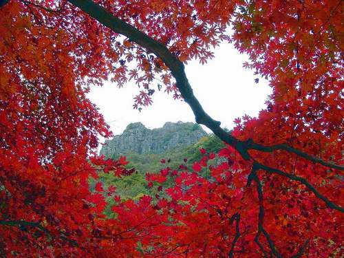 jery1997's profile picture. 세상사는 이야기 나누고 싶네요...