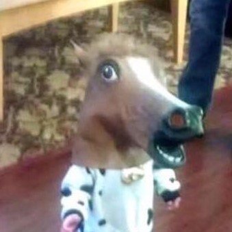 SephgatUrr's profile picture. my single enjoyment out of life is trying to be funny