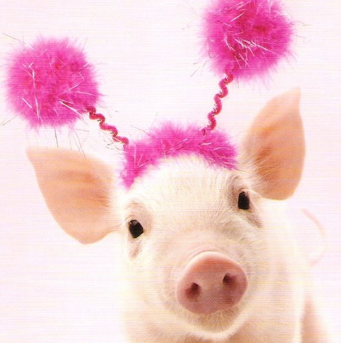 gillypigchem's profile picture. Chemistry teacher. Happiest in a lab full of teenagers and chemicals - often found heading home with goggles still on. All views my own. Great teachers share!