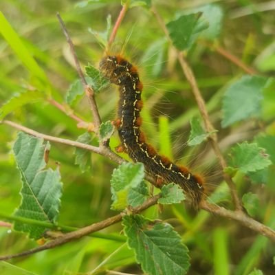 SoniaTeychene's profile picture. 🌾🇫🇷