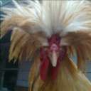 Debbie Clements - @debclem55 - Twitter