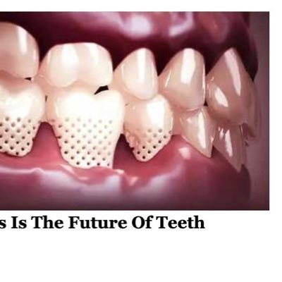 seatbirdcat's profile picture. Leaves of three, let it be.