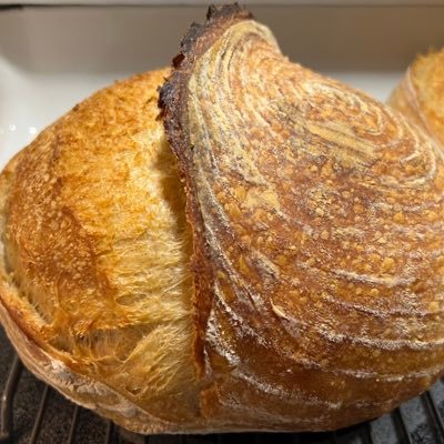 BreadsandCircus's profile picture. 