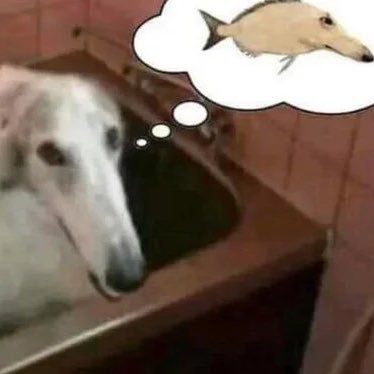 odditybutsecret's profile picture. 🏳️‍🌈🏳️‍⚧️ Late night rants are a risk that I’m not liable for - priv: @altitty