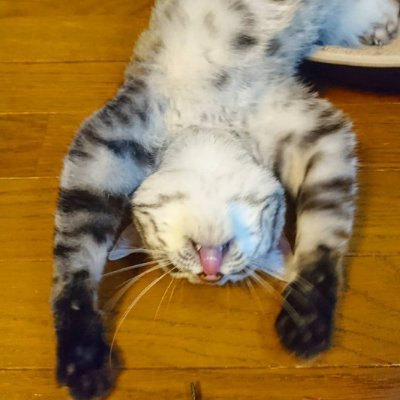 karma_228's profile picture. 