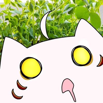 20↑。文アル(🐉🍒)、金カム(月鯉)。絵と小説と人力。 左右固定。詳細はリトリンに。 ※作品は媒体問わず転載・AI学習禁止。 ※Republishing is prohibited. ひめちゃま(@coffee_queen01)