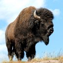 Cameron Ayala - @cameron_ayala16 - Twitter