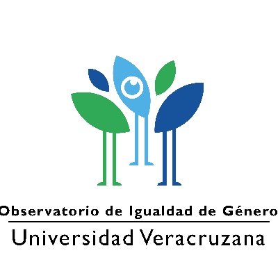 Generación y análisis de información sobre la (des)igualdad de género en la Universidad Veracruzana