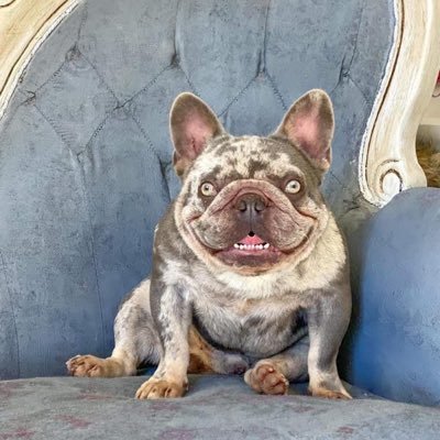 sunny_autumn7's profile picture. 