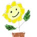 Yogesh Limbu (@segoyart) Twitter profile photo Yogesh Limbu (@segoyart) Twitter profile photo