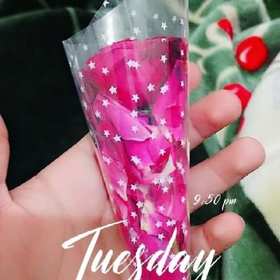 IQRA3VO7_bbs's profile picture. 