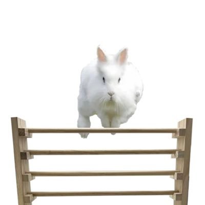 zippyflips's profile picture. 