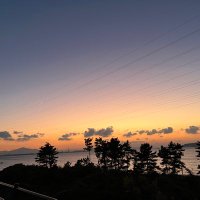 yuki取引垢 (@yuki_geek_yeah) 's Twitter Profile