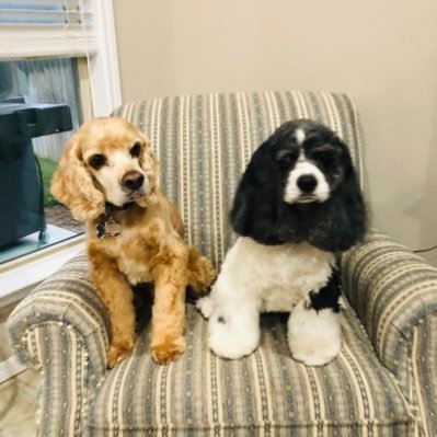 delhocker's profile picture. Retired Air Traffic Controller, conservative, against any socialism ideas. Escapee from the Peoples Republic of California.