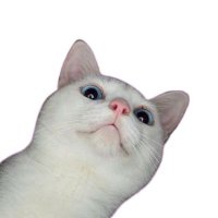 megaan²⁵ (@d_uw27) 's Twitter Profile
