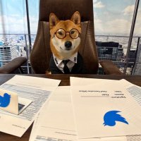 The Doge Of Wall Street & CEO of 😉 (@thebeastdogeinu) 's Twitter Profile