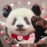 saixiang's profile picture. 動物園通いアカです🐼ヲタク本垢もあるよ。
彩浜🌈、カドリーのこぐま和奏ちゃん名付け親です🐻