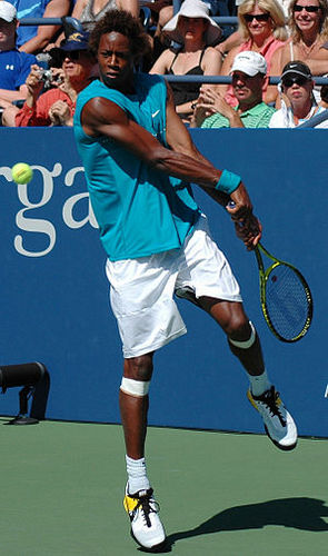 gael monfils Profile