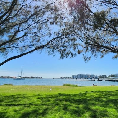 Ezypoolinspec1's profile picture. 