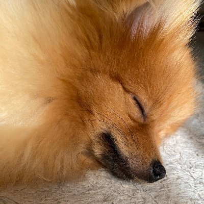 arap13_24's profile picture. amazonアソシエイトプログラム参加中 /相互フォローします！