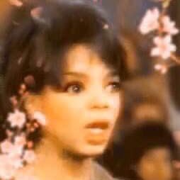 maiajohnson_'s profile picture. likes: real housewives, horror, The Cat in the Hat (2003), and Fran Lebowitz (1950) | 1913 | she/they