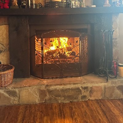 LisaAlf34843045's profile picture. 