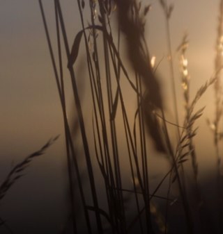 JoliEnoch's profile picture. 