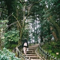 hi-ko (@nyan2519_hiro) 's Twitter Profile