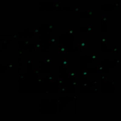 Tpeny_'s profile picture. IL?..̯ ᵕ̈