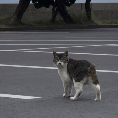 意外と毎日楽しいかも