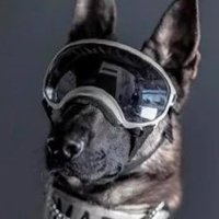 Proteo (@proteosec) 's Twitter Profile